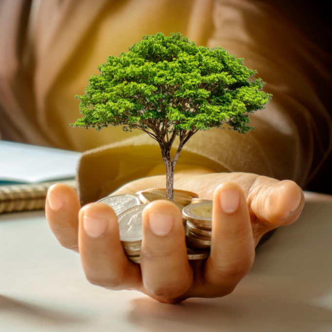 The concept of green business grant, a growing tree and coins in the hands of a businessman.