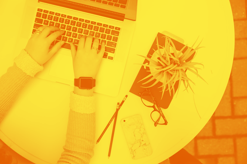 Person typing on a laptop with plant beside her with a yellow tint