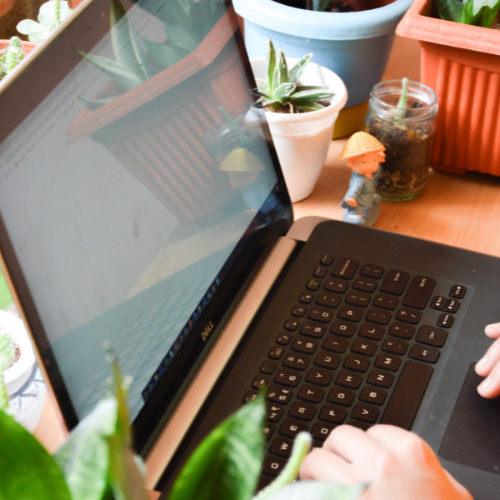 Close up of a laptop on a desk surrounded by plants.