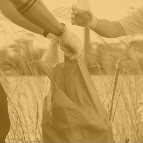 Two people picking up litter on a river bank. Image has a yellow tint.